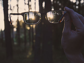 Close-up of hand holding sunglasses against trees