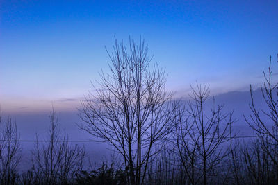 Silhouette of bird flying against sky