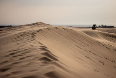 Sand dunes in a desert