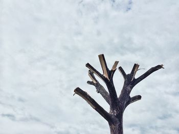 Low angle view of bare tree against sky