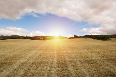 Scenic view of field against sky