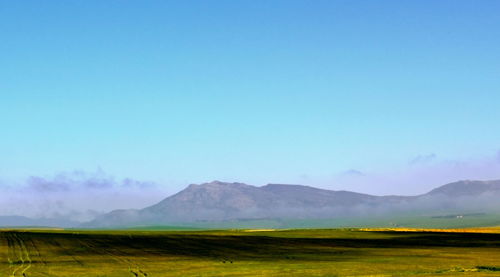 Scenic view of field against clear blue sky