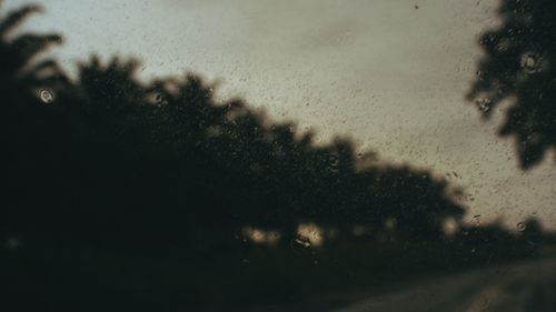 Raindrops on glass window