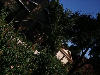 Built structure with trees in background