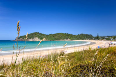 Scenic view of sea against clear blue sky