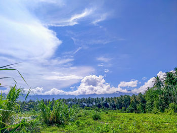 Scenic view of field against sky