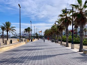 Footpath amidst palm trees in city against sky