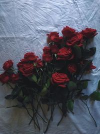 High angle view of rose bouquet