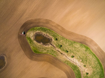 High angle view of tree trunk on road