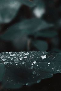 Close-up of raindrops on glass