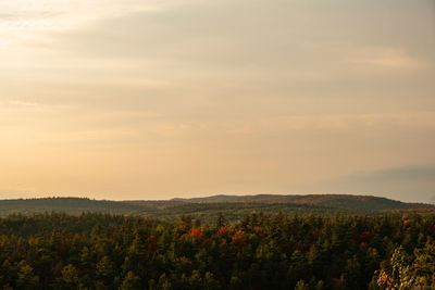 Scenic view of field against sky during sunset