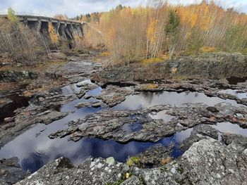 River flowing through rocks in forest