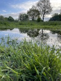 Scenic view of lake against sky