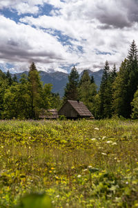 House amidst trees and plants against sky