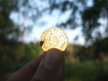 Close-up of cropped hand holding coin