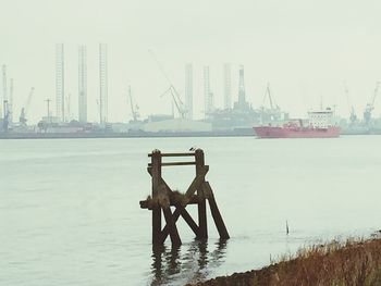 Commercial dock at harbor