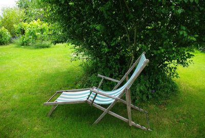 Empty bench in park