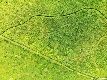 Full frame shot of green field