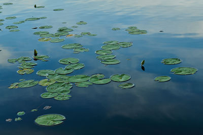 water