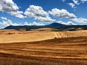 Scenic view of agricultural field against sky