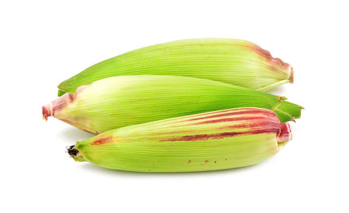 Close-up of green chili pepper against white background