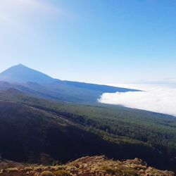 Scenic view of landscape against clear blue sky