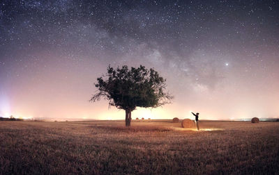 Tree on field against sky at night