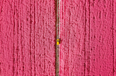 Aerial view of car in pink field