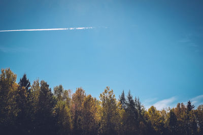 Low angle view of vapor trail on trees against sky