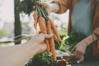 Vendor giving organic carrots to customer