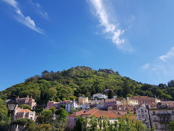 Houses and trees against sky in town