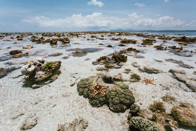 Rocks on beach against sky