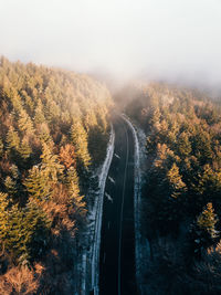 Road amidst trees during autumn