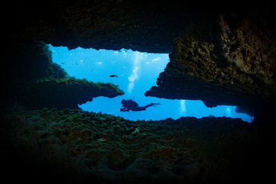 View of diver underwater