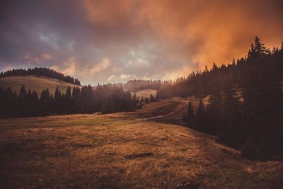 Scenic view of grassy field against sky during sunset