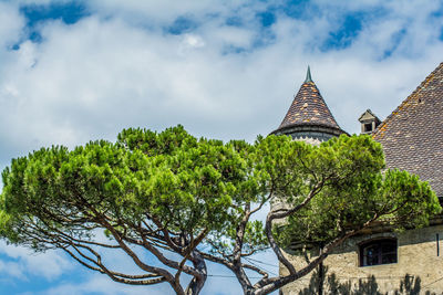 Low angle view of tree against sky