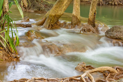 Stream flowing in forest