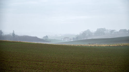 Scenic view of field against sky during foggy weather