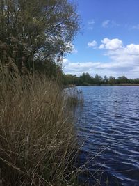 Scenic view of lake against sky