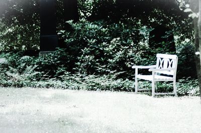 Empty bench on field against trees