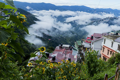 High angle view of trees and buildings against sky