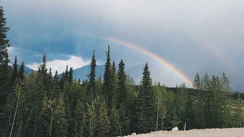 Scenic view of landscape against cloudy sky