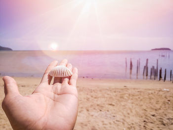 Cropped hand of person holding seashell at beach against sky