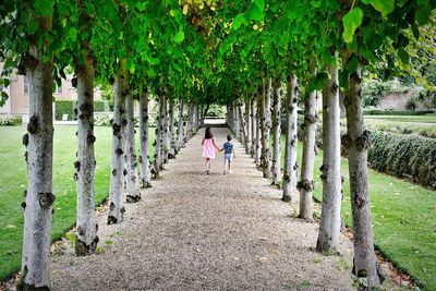 Rear view of siblings walking in park