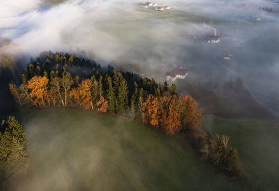 Austria, upper austria, mondsee, drone view of autumn grove in salzkammergut at foggy dawn