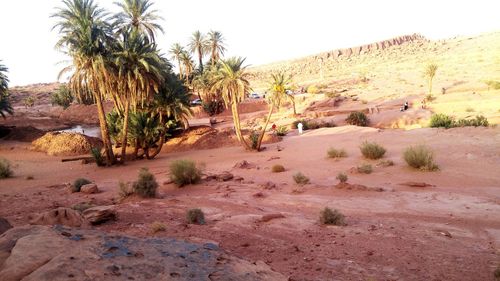 Scenic view of desert against clear sky