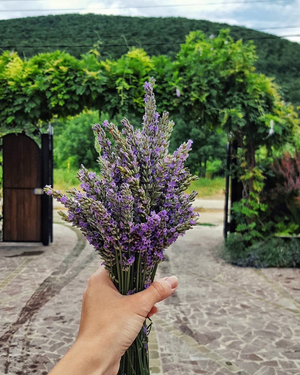 WOMAN HOLDING FLOWERS IN FRONT OF FLOWER TREE