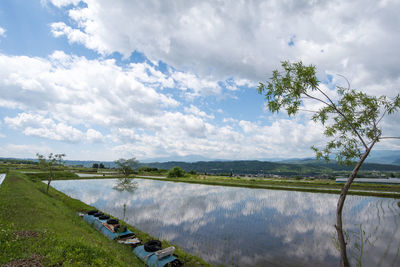 Scenic view of agricultural field against sky