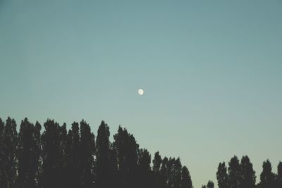 Low angle view of silhouette trees against clear sky