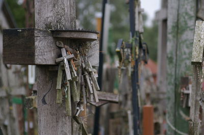 Close-up of wooden post